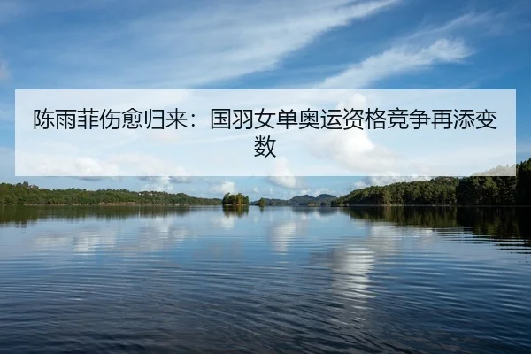 陈雨菲伤愈归来：国羽女单奥运资格竞争再添变数