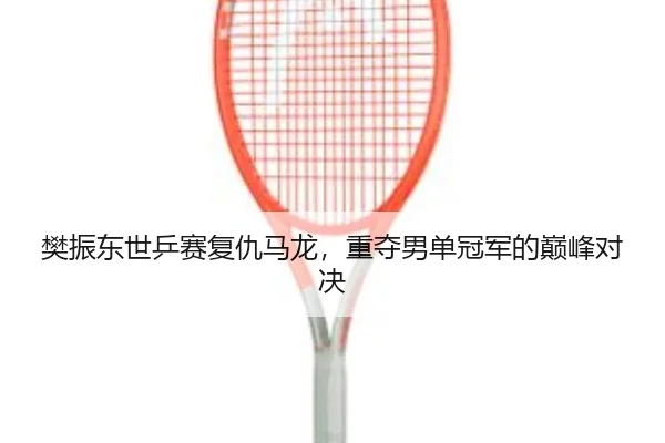 樊振东世乒赛复仇马龙，重夺男单冠军的巅峰对决