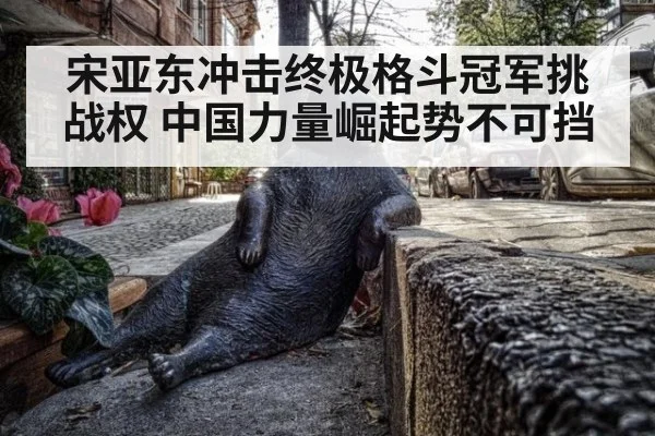 宋亚东冲击终极格斗冠军挑战权 中国力量崛起势不可挡