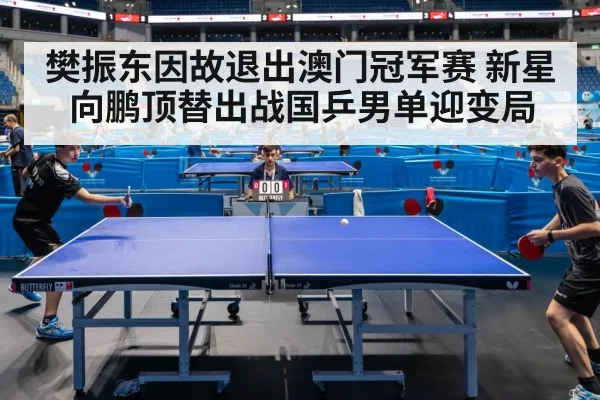 table tennis match action